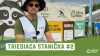 Triediaca stanička #2 - SKLO